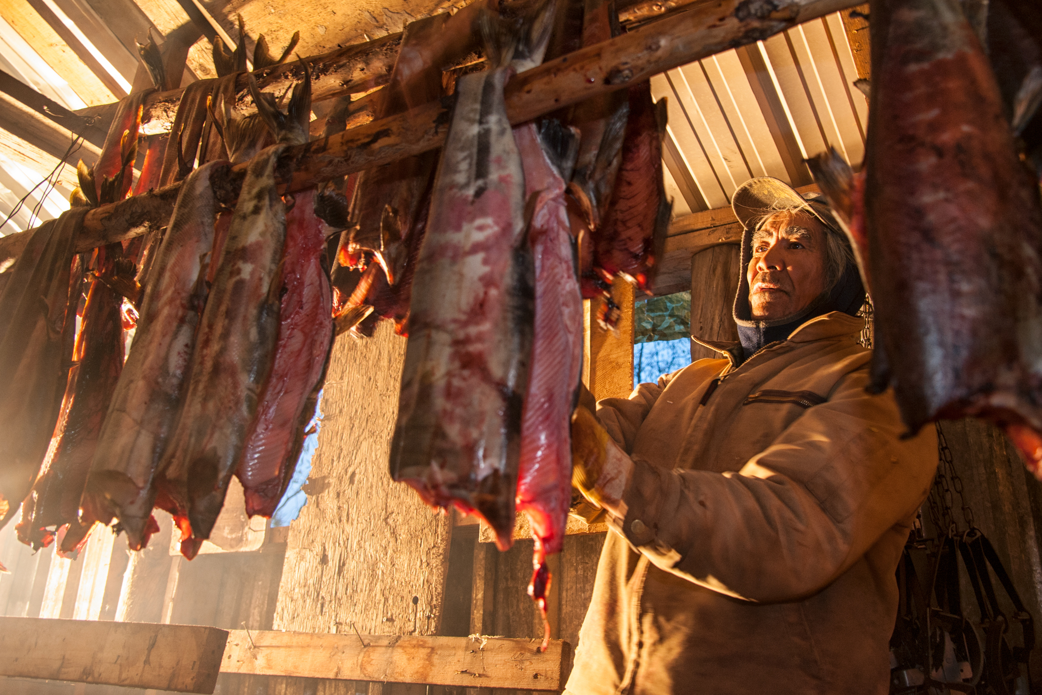James Itsi hangs chum salmon for smoking in a shed