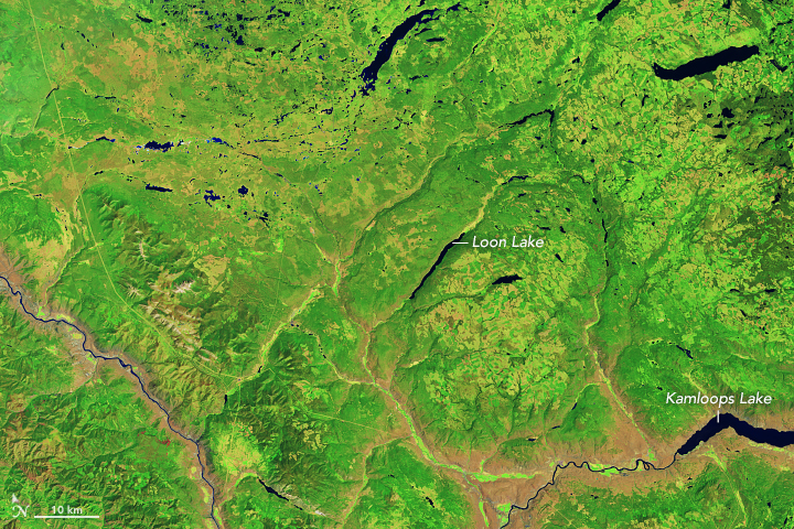 satellite image showing green landscape