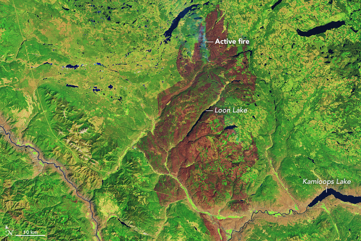 satellite image showing brown burn scar on green landscape