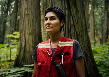 Michelle Connolly Conservation North Seeing Red old-growth forest map