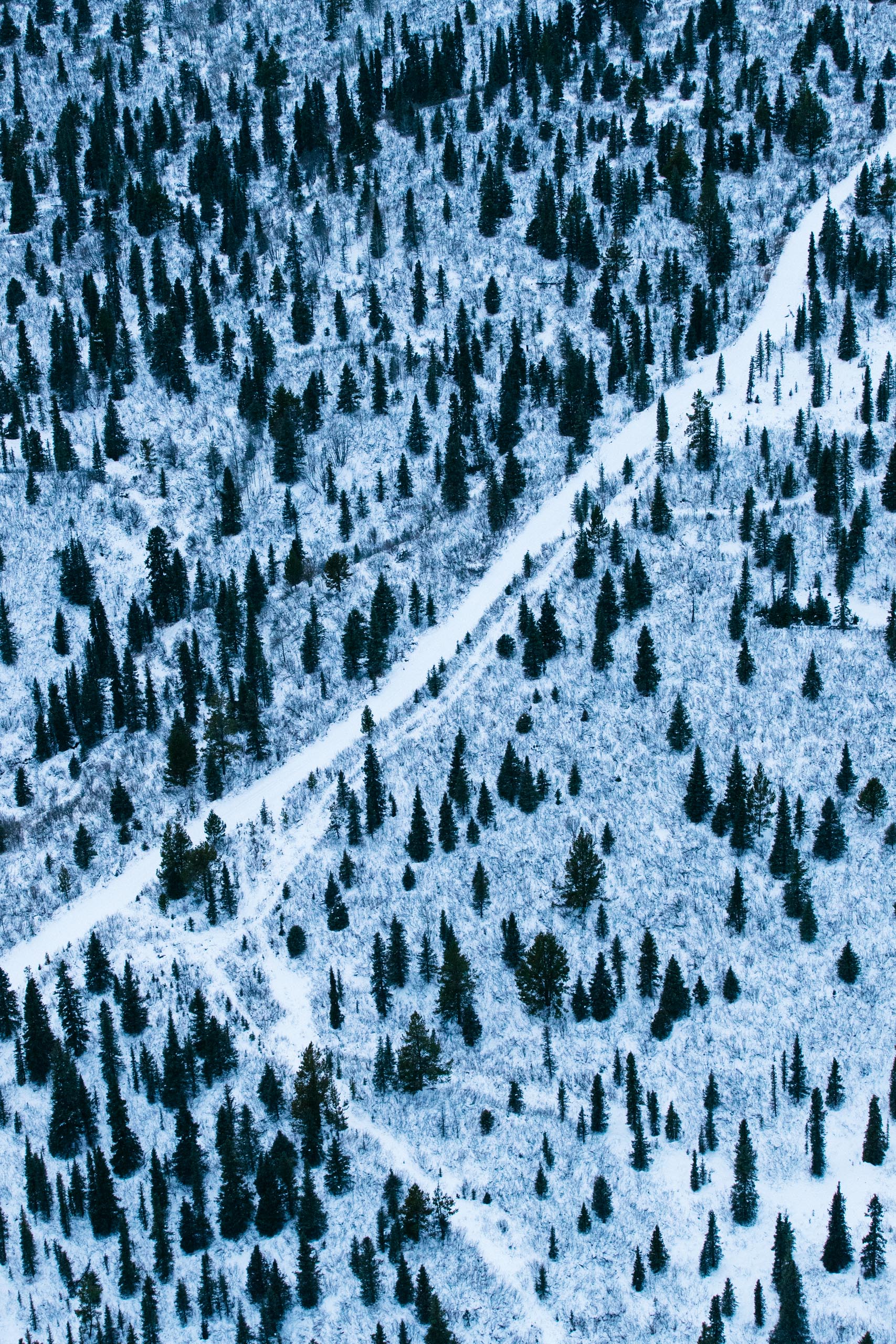 An aerial photo showing a road cutting through a forested area blanketed in snow