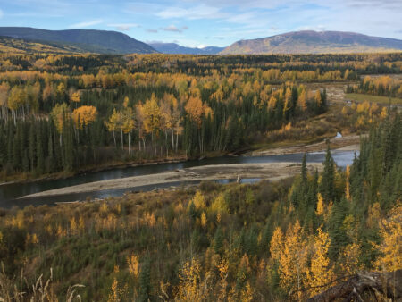 halfway river running through a forest with mountains in the background