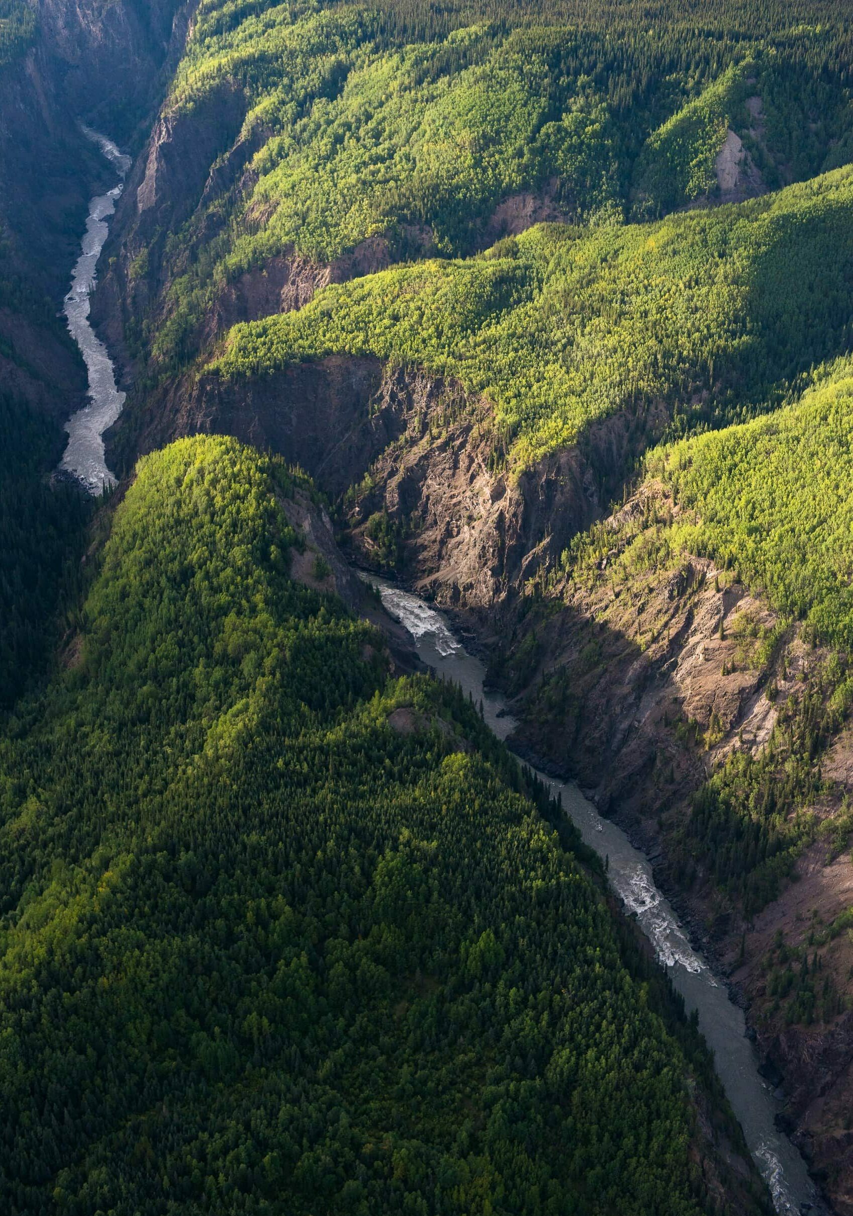 aerial view of Stikine River cutting through Grand Canyon