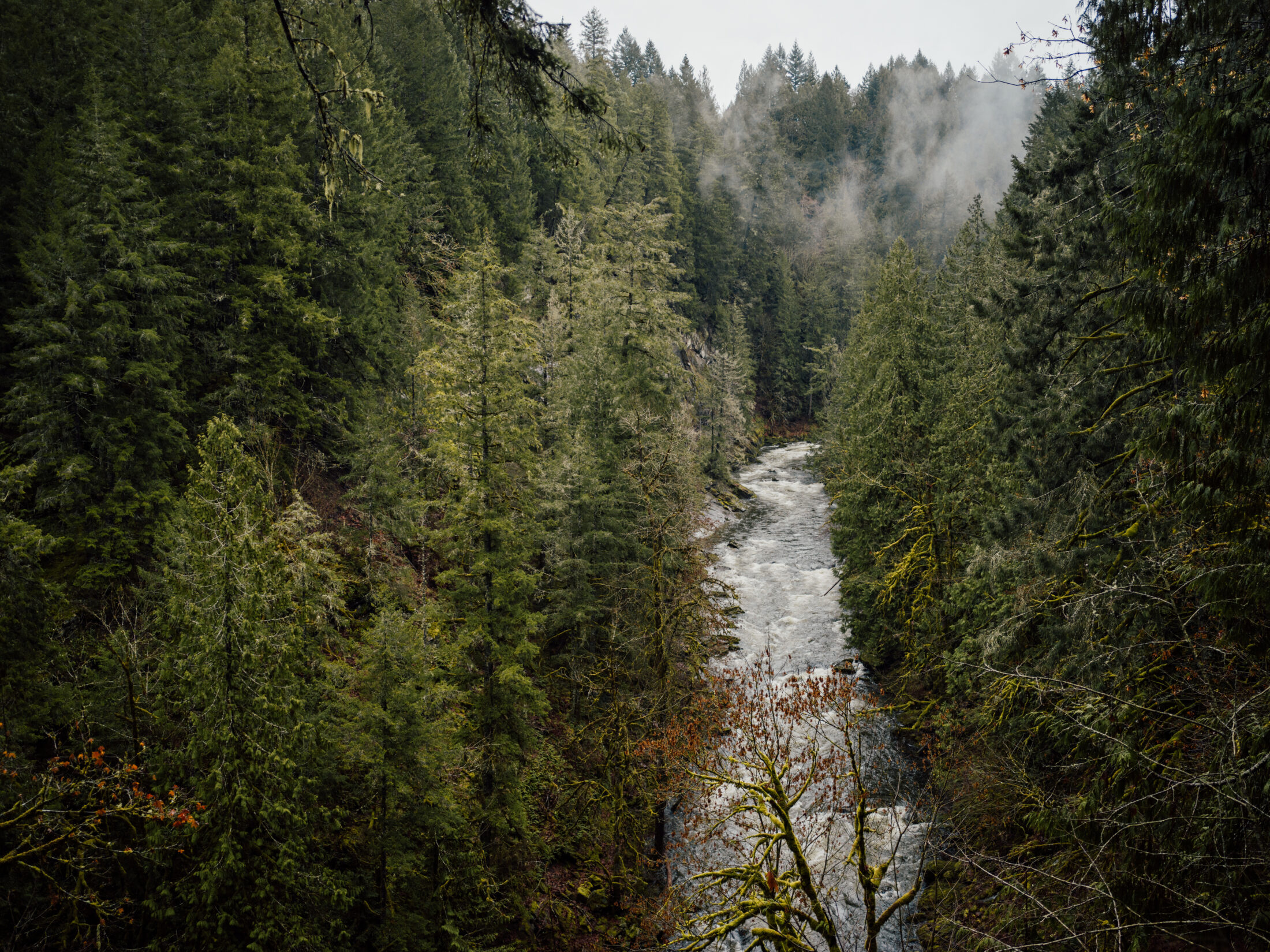 The Koksilah River in the Cowichan Valley B.C.