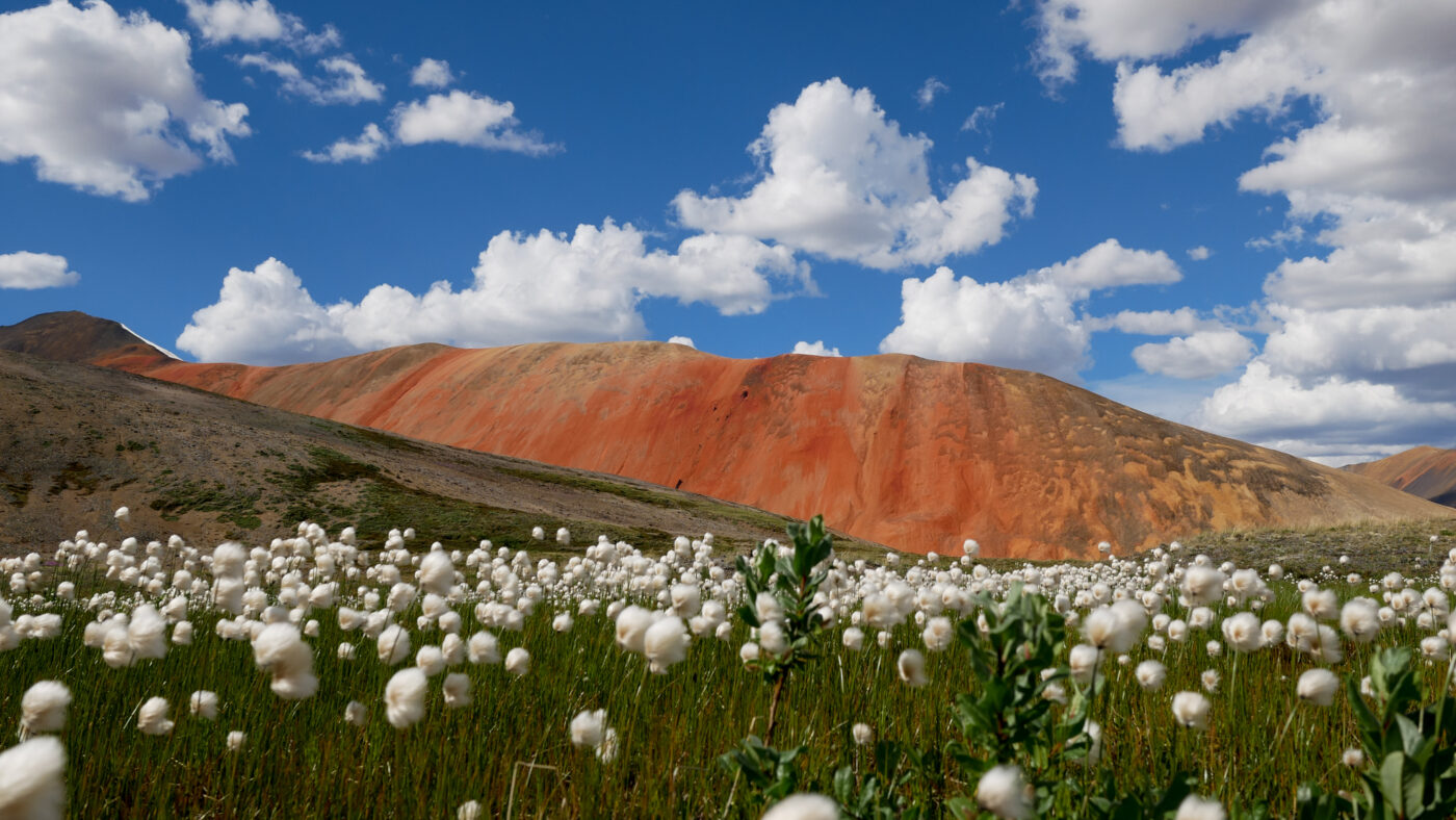 Mount Edziza How the Tahltan, Skeena Resources collaborated to protect Mount Edziza