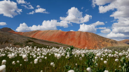 Mount Edziza Provincial Park Carol Linnitt The Narwhal
