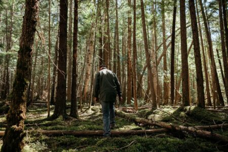 man's back in a forest