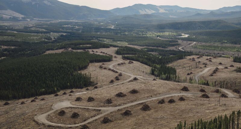 Alberta coal exploration eastern slopes Rocky Mountains
