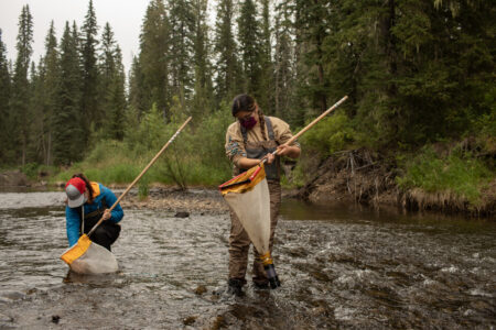 citizen science water monitoring rivers streams Alberta training Living Lakes Canada cumulative effects