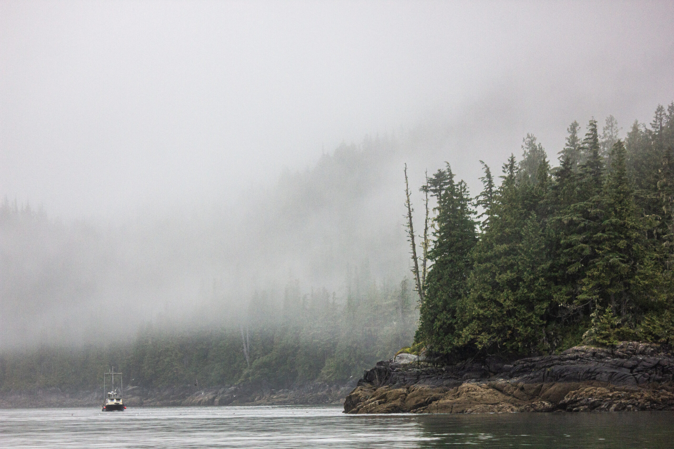 boat in water surrounded by mist and forests