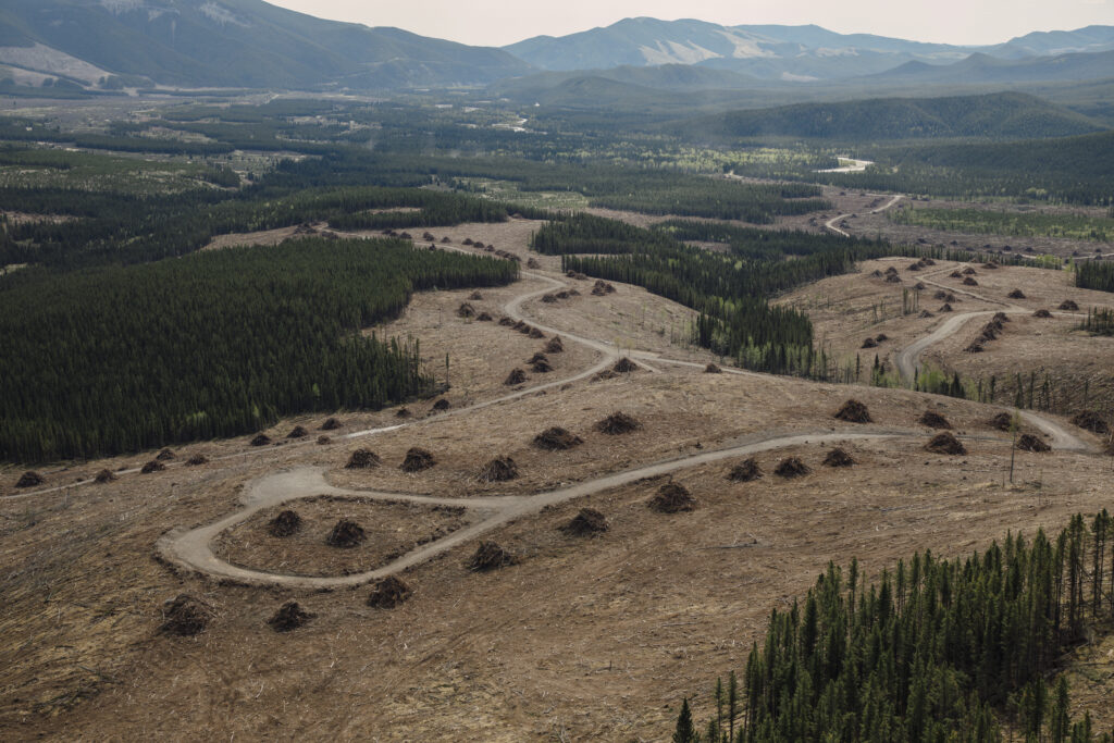 Exploration for new coal mines along the Rocky Mountains resulted in landscape effects