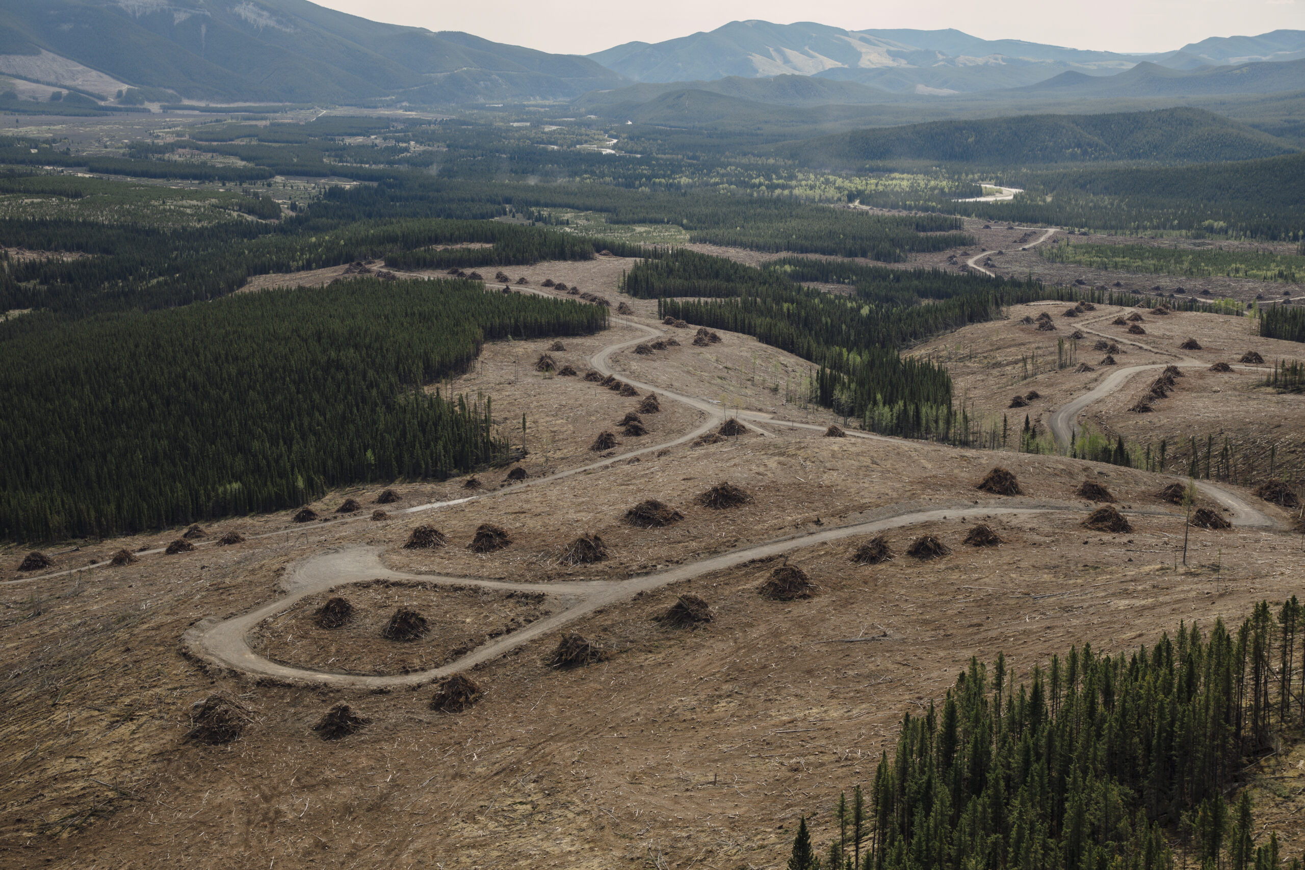 Exploration for new coal mines along the Rocky Mountains resulted in landscape effects
