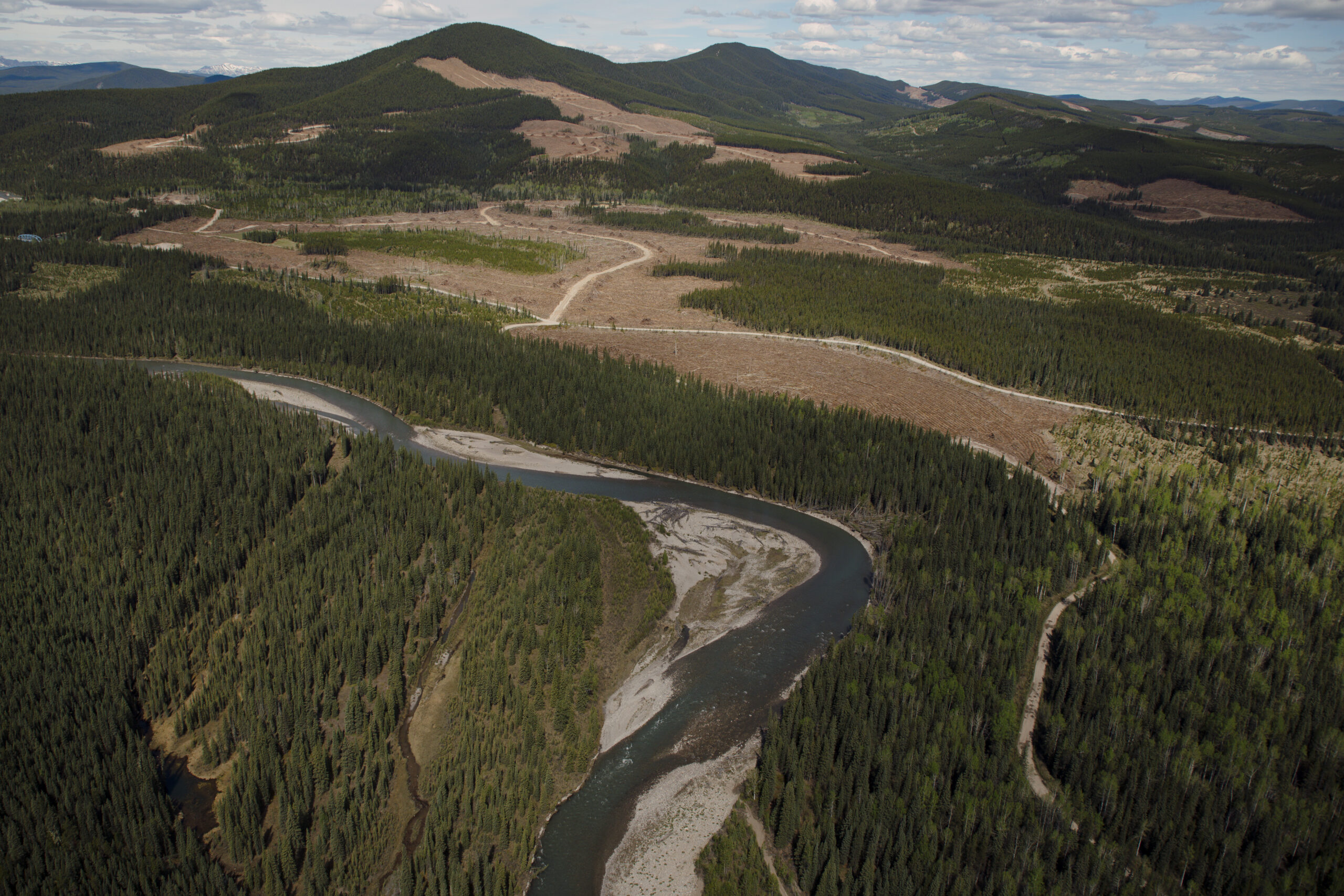 coal exploration eastern slopes Rocky Mountains Clearwater River