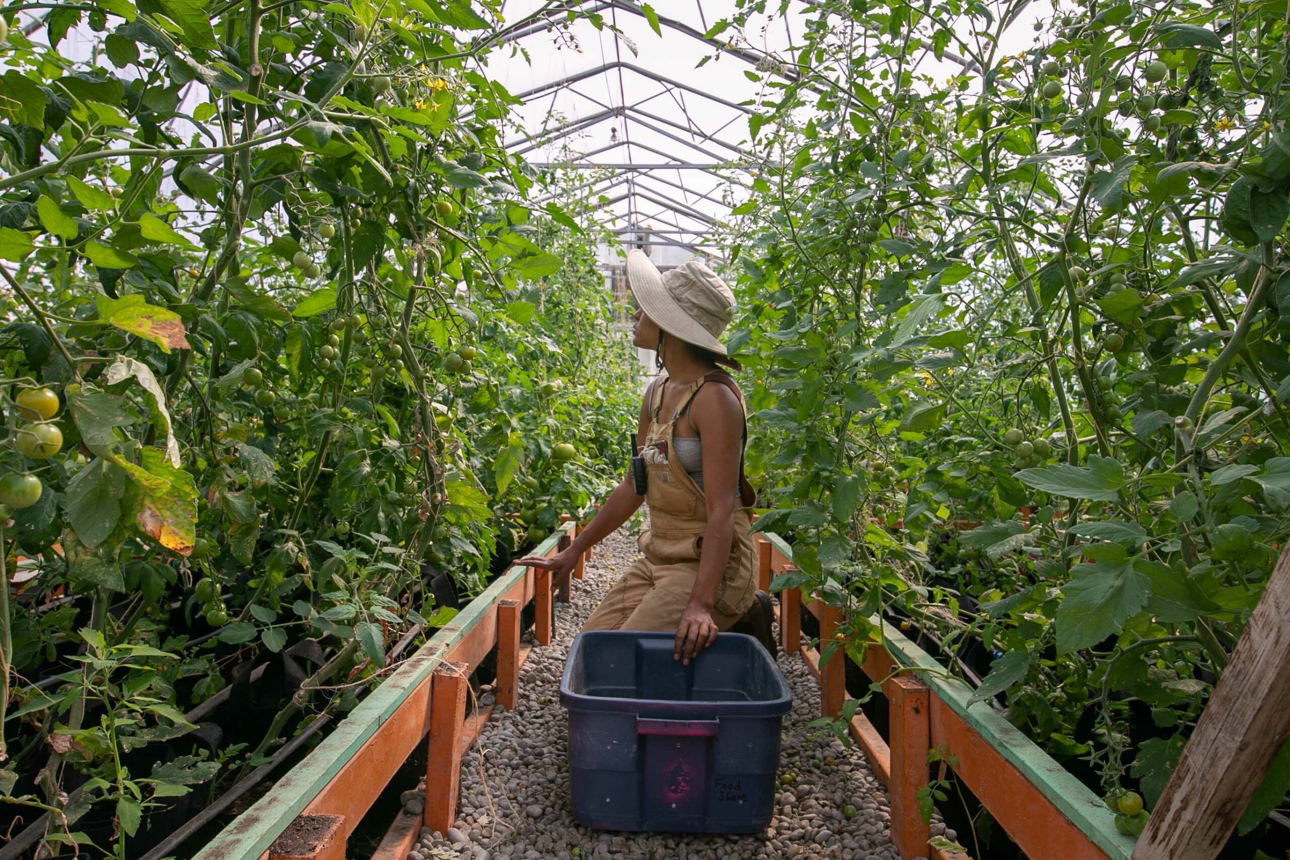 Three Black farmers fight for diminishing land in southern Ontario