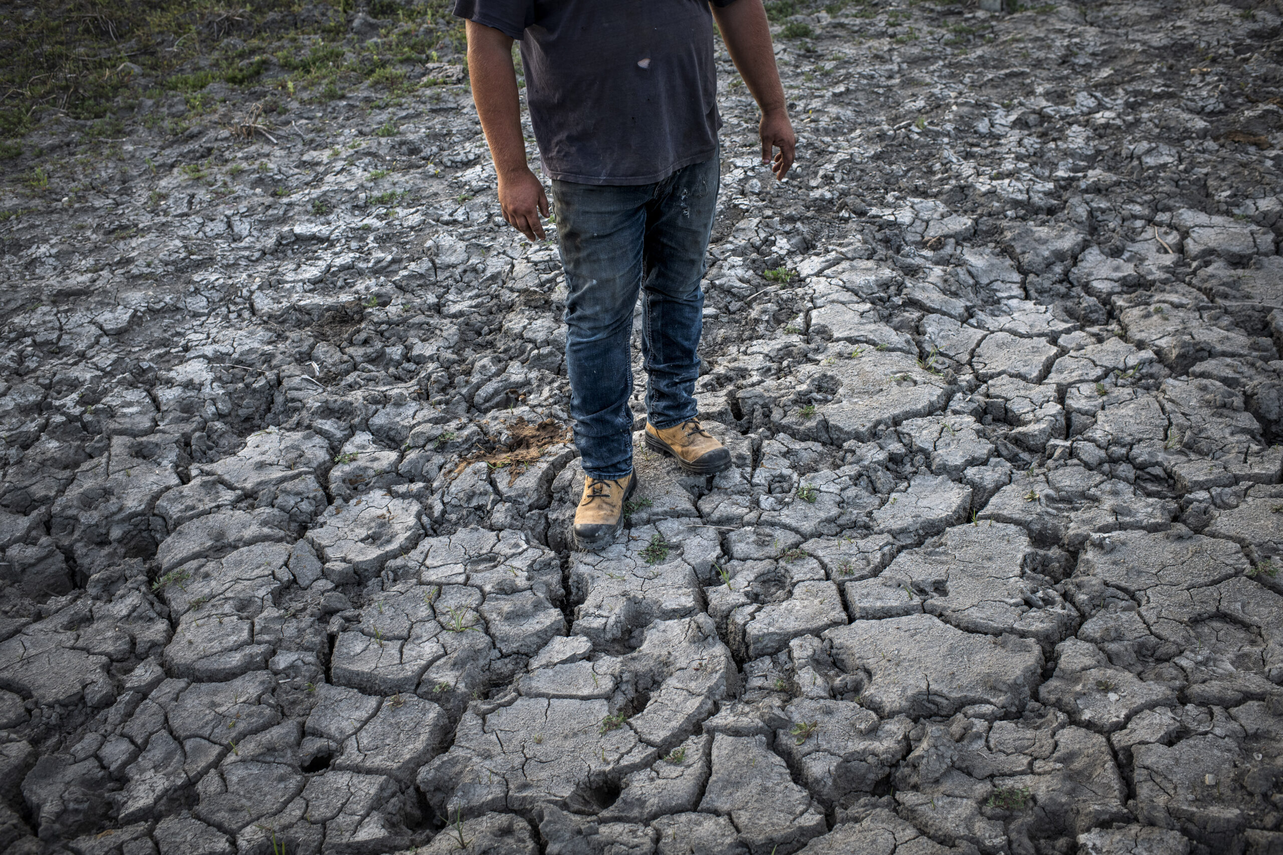 A man stands on dry, cracked mud in drought-ridden southern Manitoba in summer 2021