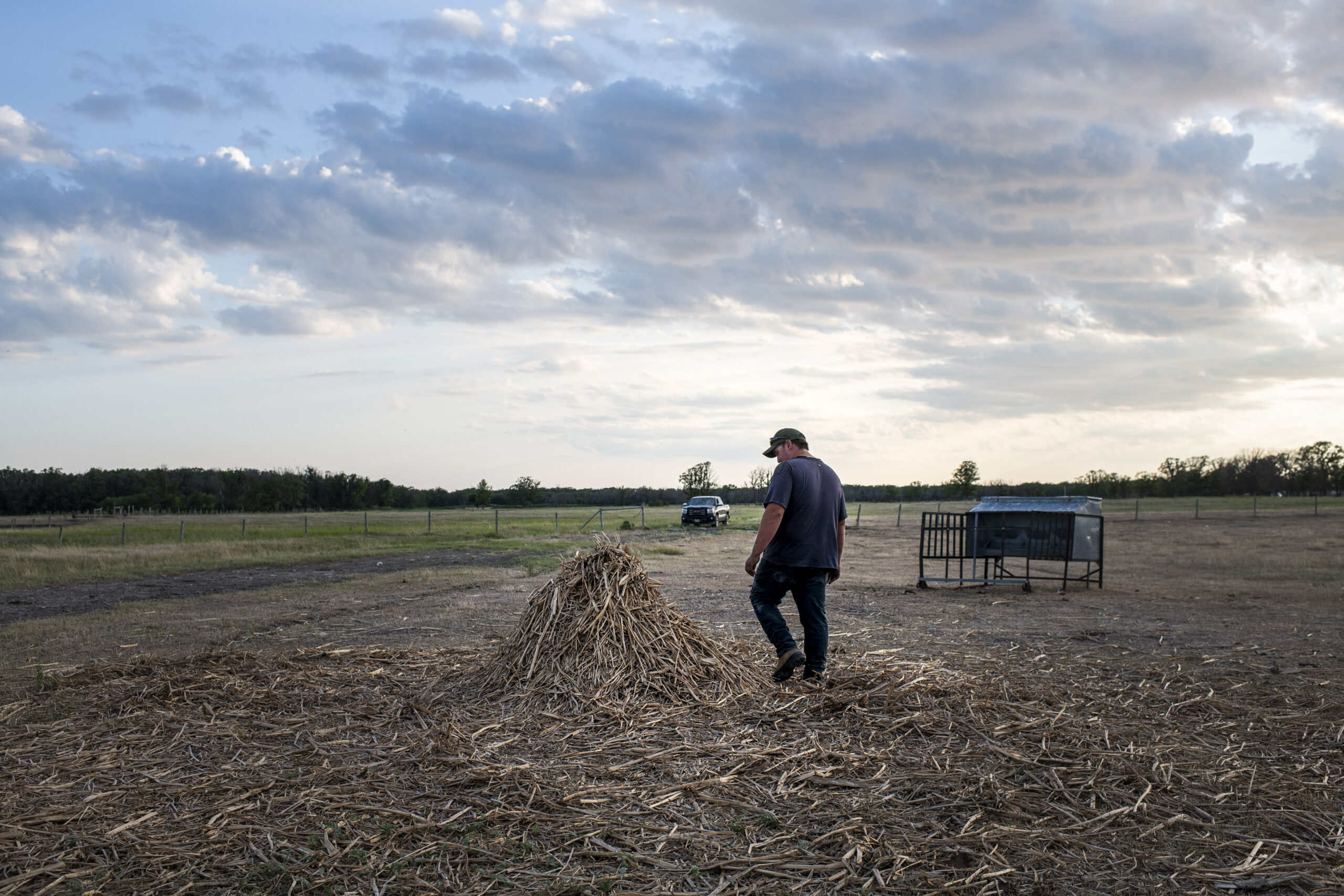 A Manitoba farmer in a dark t-shirt looks at a small pile of harvested bullrushes, a hay-like type of cattle feed, on his family farm 