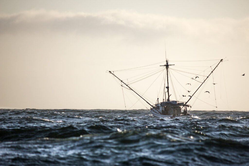 DFO's closures of Pacific coast salmon fisheries leave workers reeling