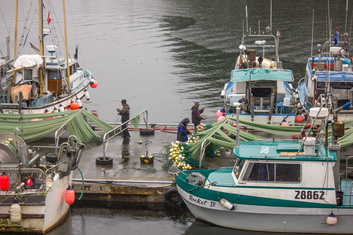 people standing on a dock near boats