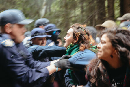scuffles between RCMP and protestors at the Fairy Creek blockades