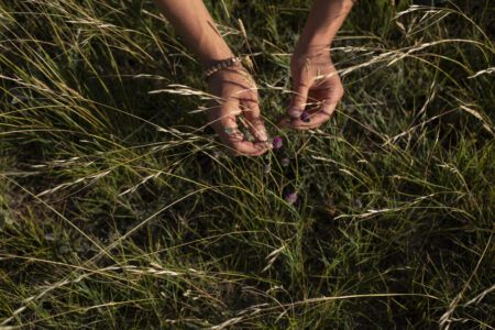 Federal election 2021: photo of person holding Purple Prairie Clover in prairie grasslands, featured in Arno Kopecky op-ed on voting
