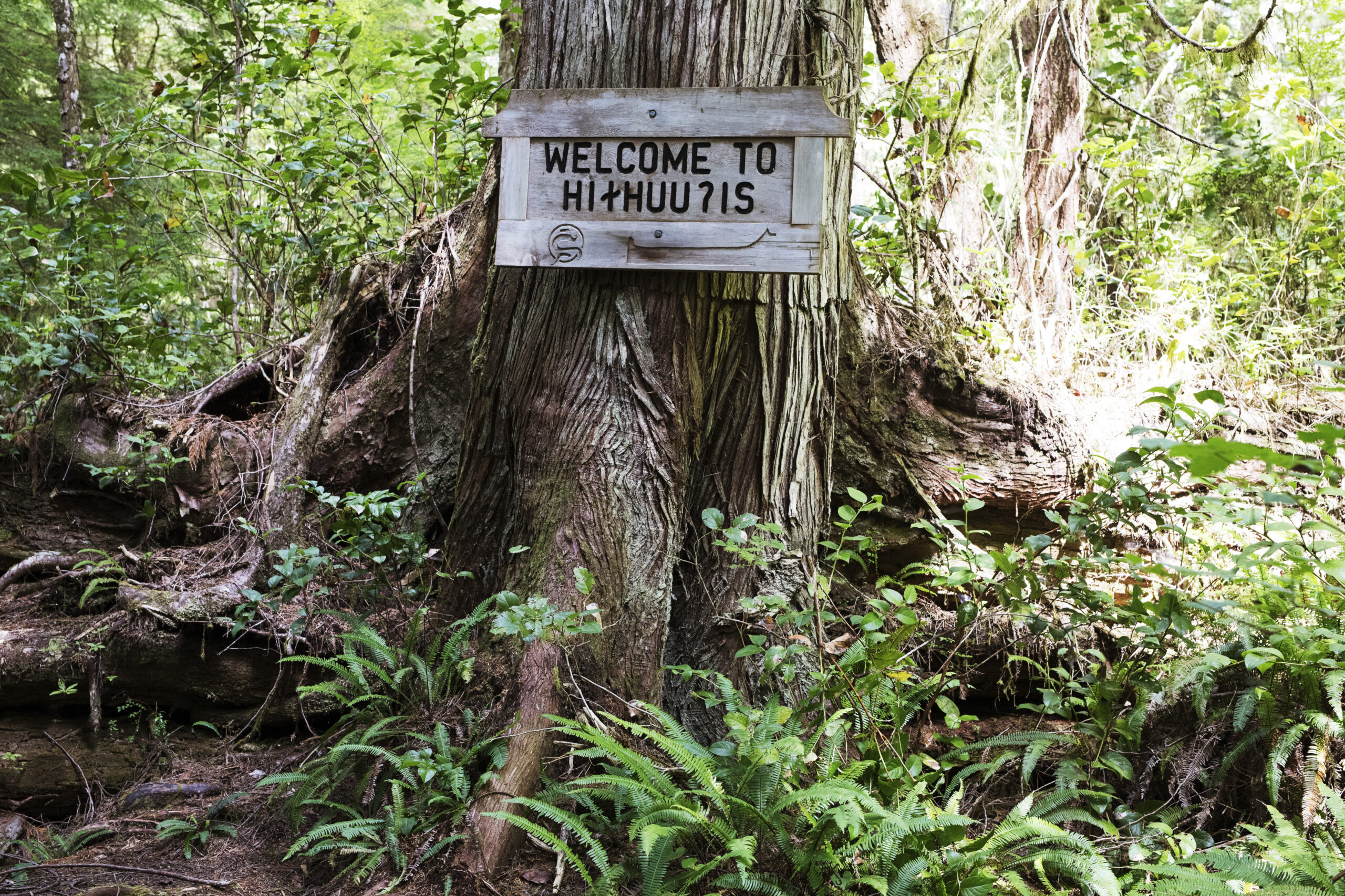 A welcome sign greets visitors as they enter the Big Tree Trail