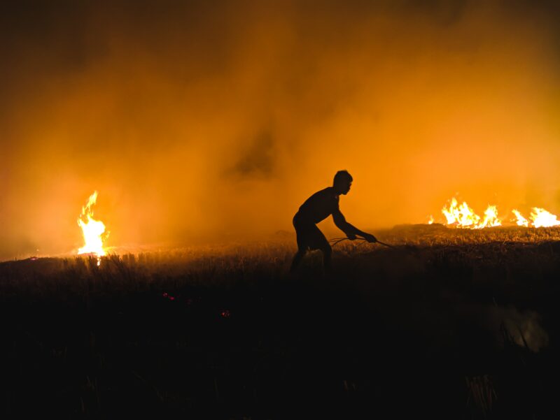a silhouetted figure stands in a field with flames