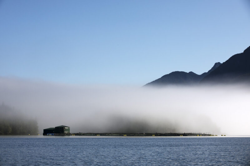 A fish farm floats on the ocean covered by a low mist with mountains in the background