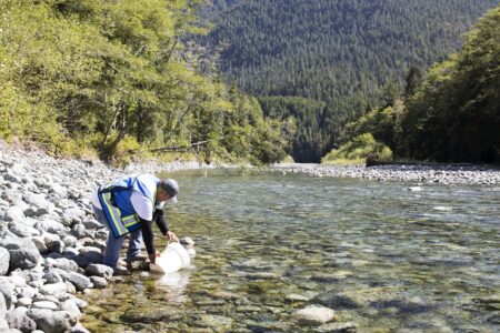 Byron Charlie released juvenile salmon into the Bedwell River