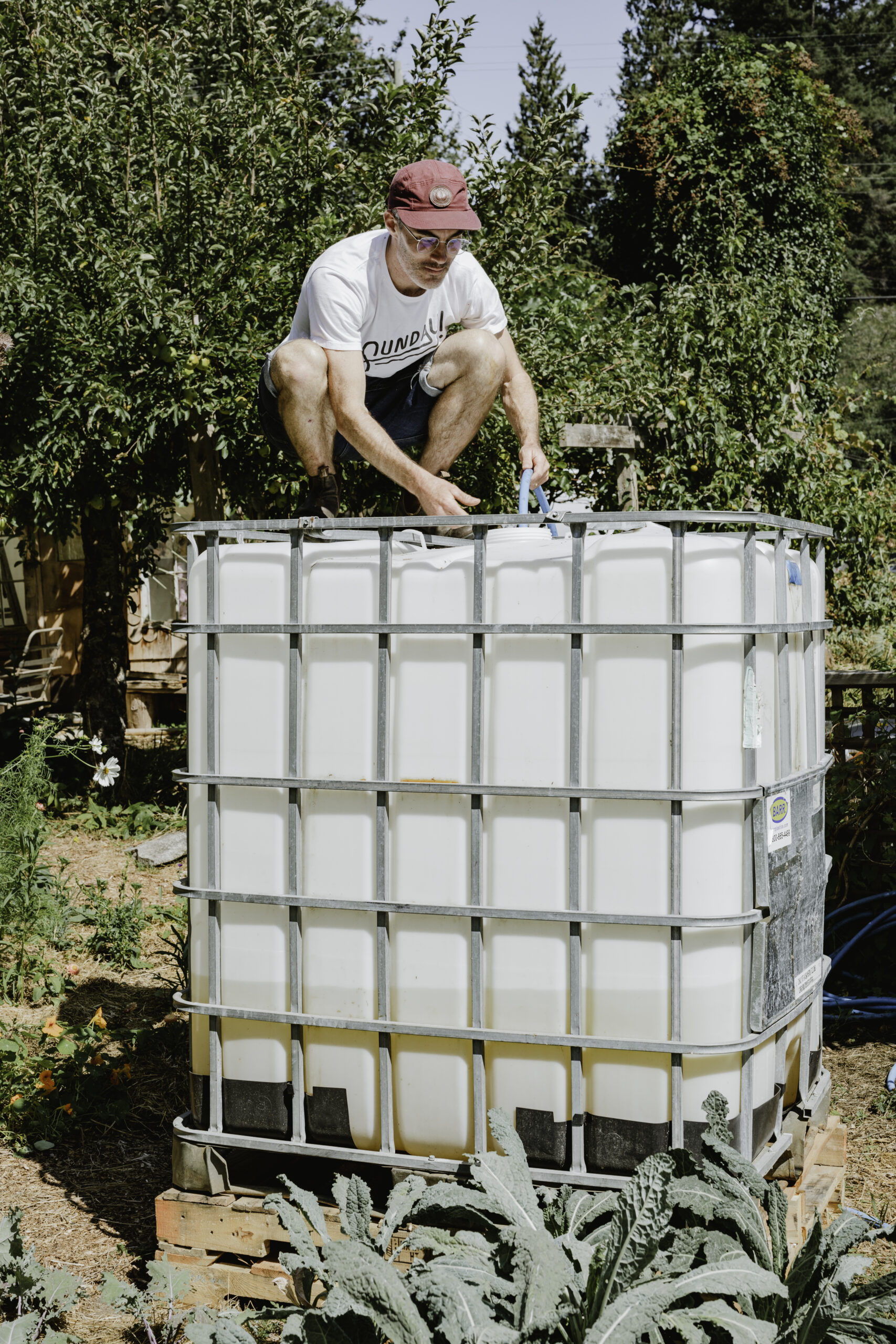 Patrick Connelly of Sunday Cider on the Sunshine Coast is seen standing on a water tank.
