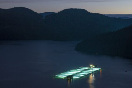 A BC fish farm seen from the air at night