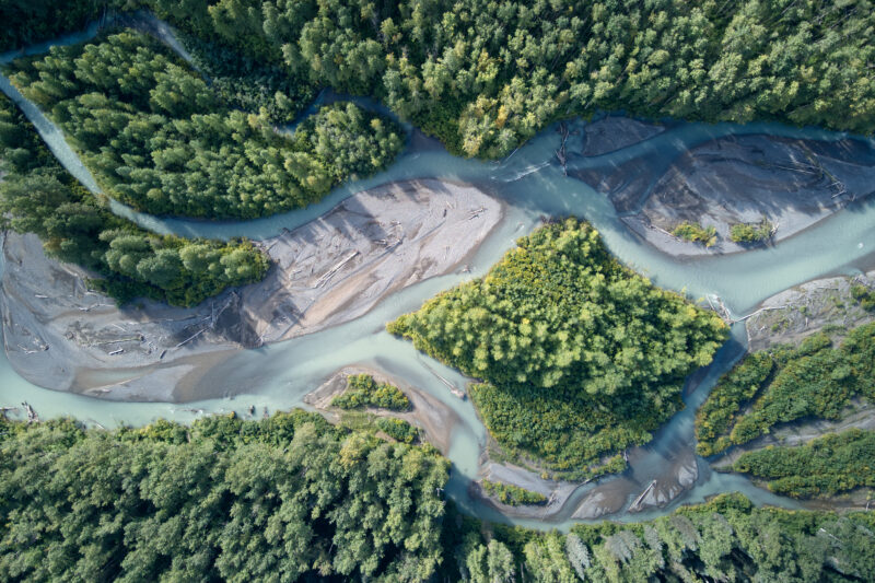 An aeriel view of a braided river bordered by lush forest in the Gitanyow IPCA