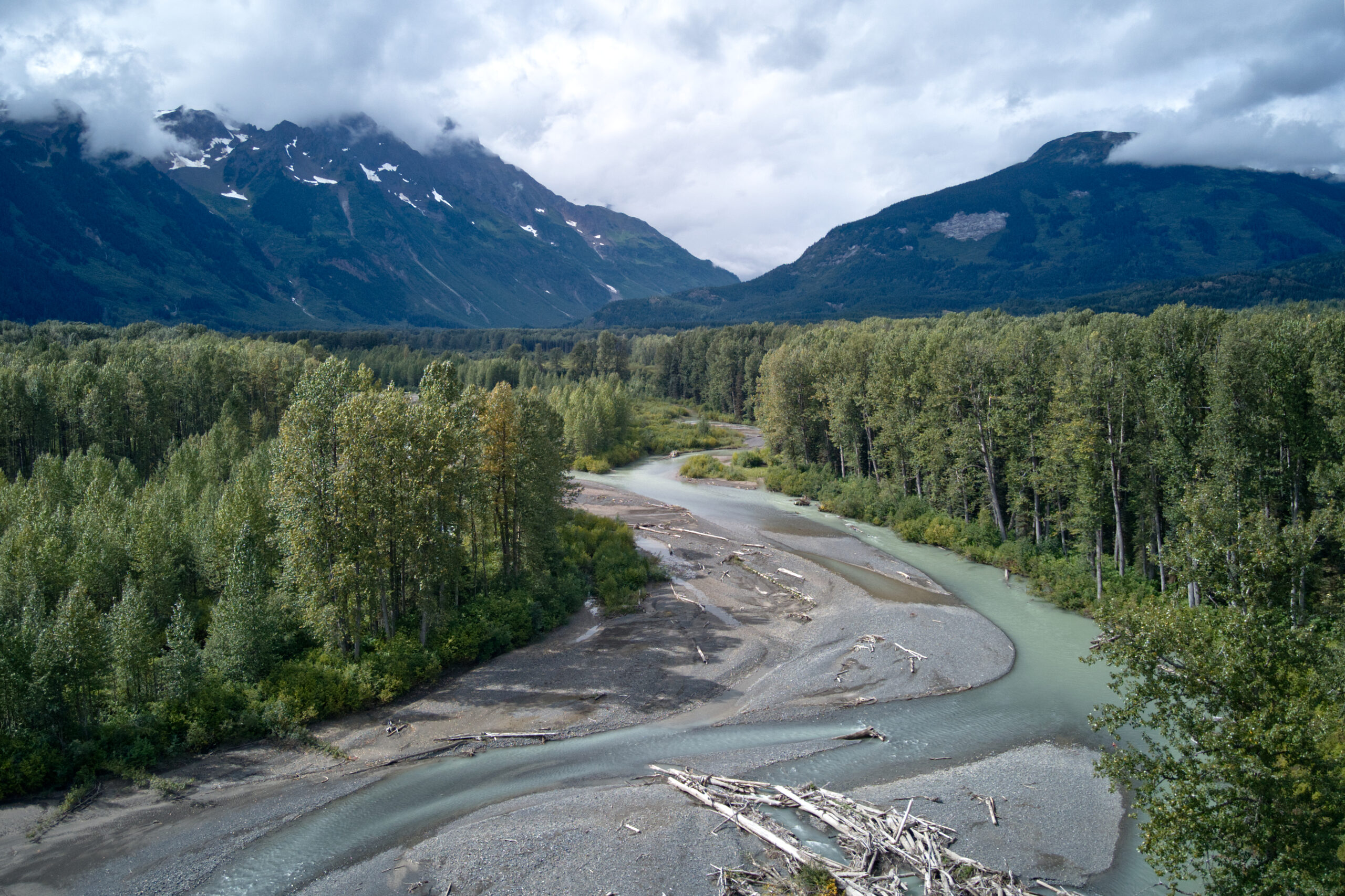 COP15: Meet Canada’s Lead Negotiator On The Global Stage | The Narwhal