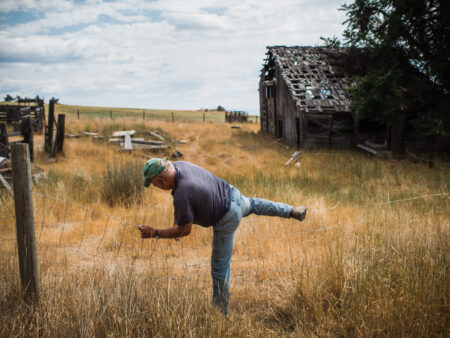 A man climbs over a chicken-wire fence with dry grass all around