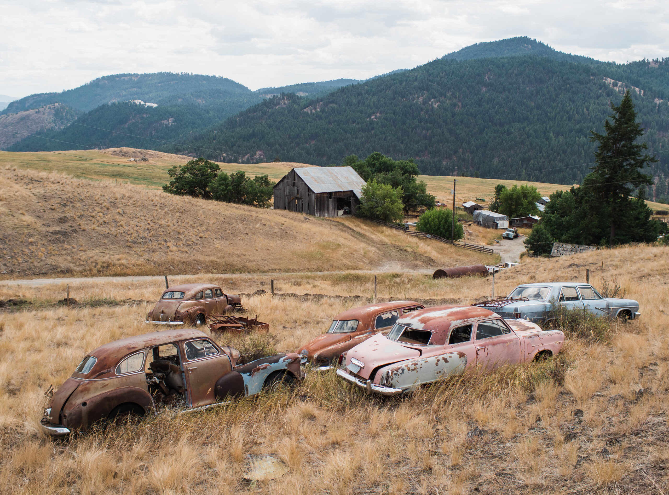 Old, rusty cars sit on an expanse of dry grassland with rolling hills in the distance
