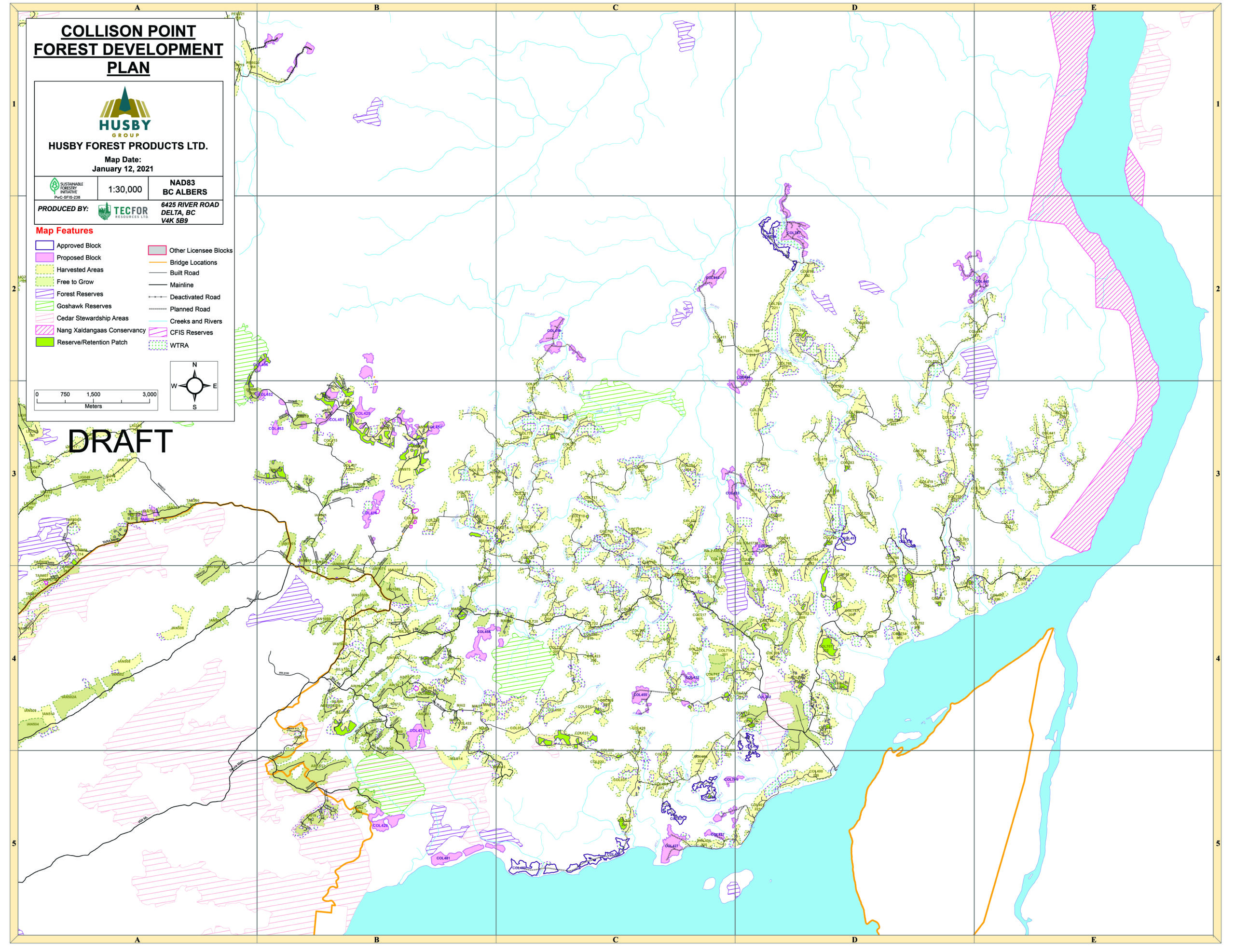 In Search Of Haida Gwaii S Goshawk One Of The World S Most Endangered Species