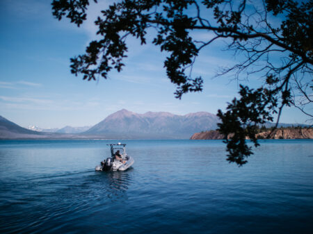 a boat on a lake with a tree in the foreground