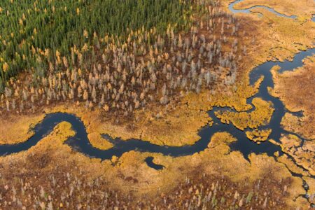 aerial view of peatlands with river running through it