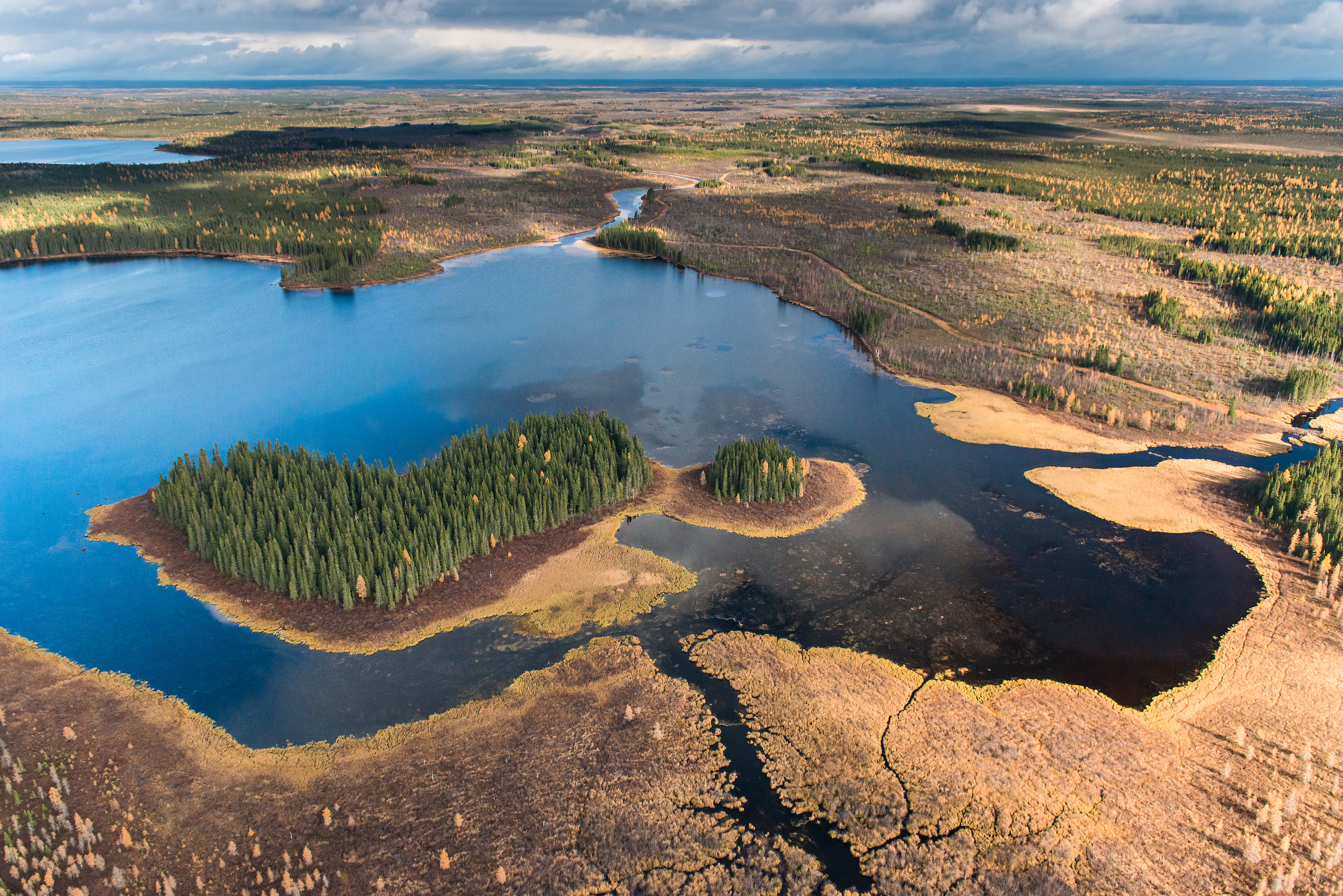 Could an Indigenous conservation area in Hudson Bay be key to saving  peatlands?