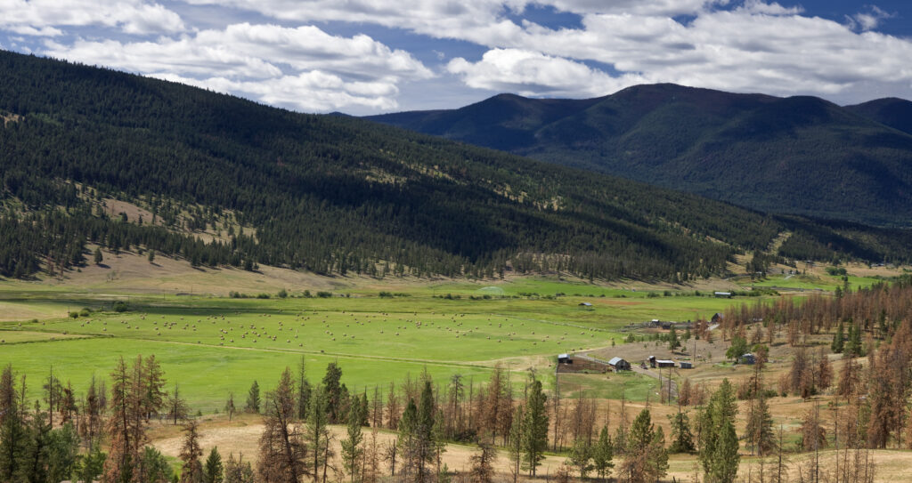 Areas hard hit by B.C. drought now the target of bottled water corporations