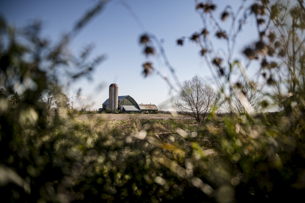 A photo of farmlands in the Greenbelt region of Durham County, in Ontario.