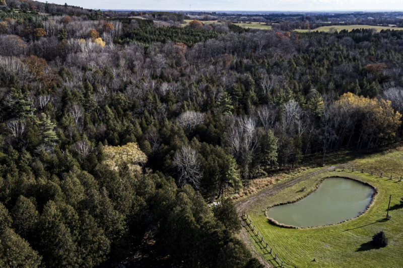 Ontario Greenbelt: aerial view of forested area near Glen Major Forest in Durham County.