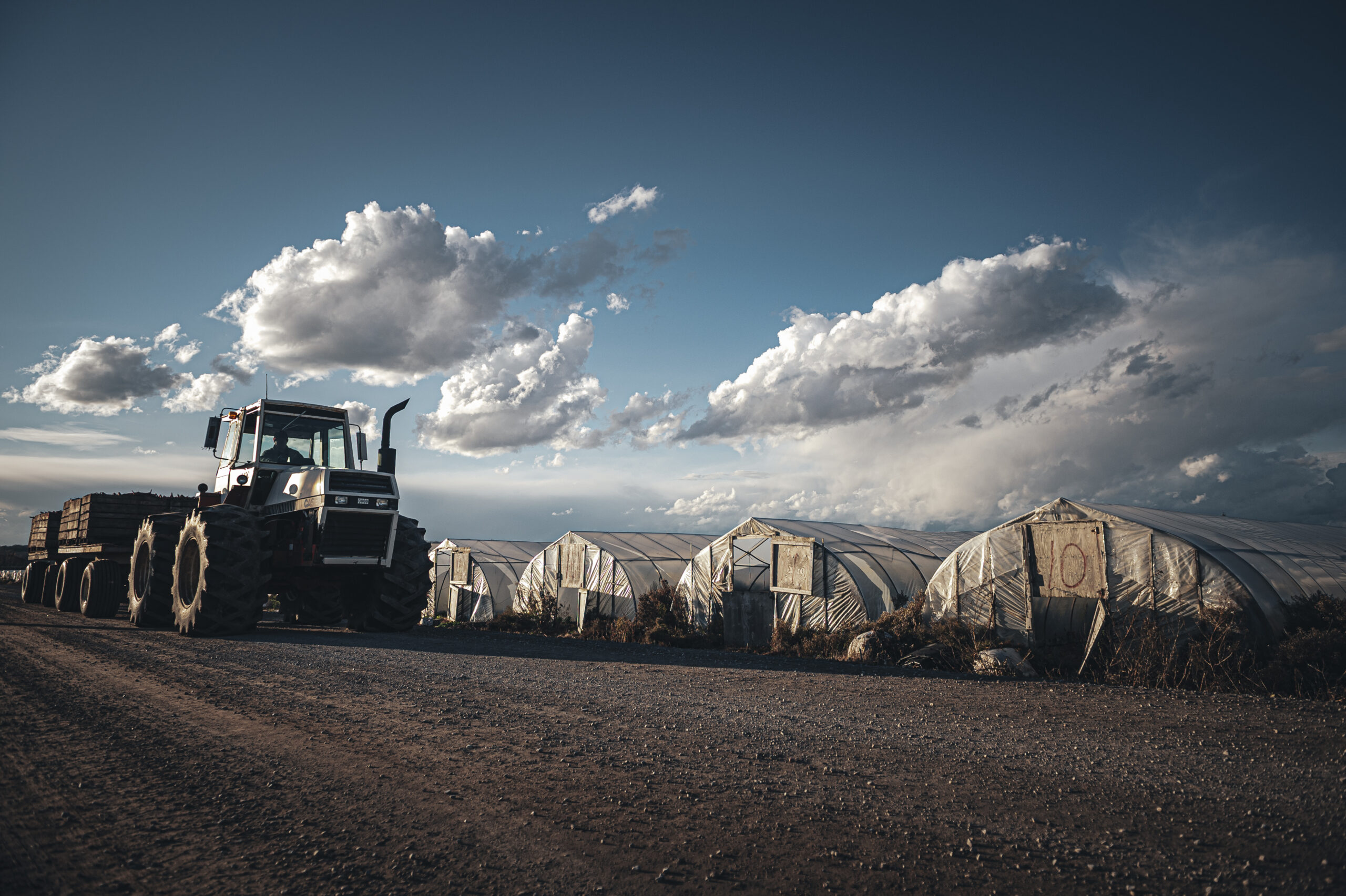 Carbon price farmers: A large silver tractor drives down a dirt road flanked by a row of greenhouses in Ontario's greenbelt