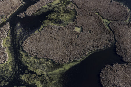 A view of the Holland River from above, as it flows by wetlands and reeds.