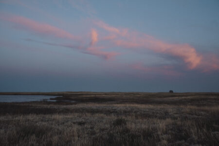 grassland and pond at sunset