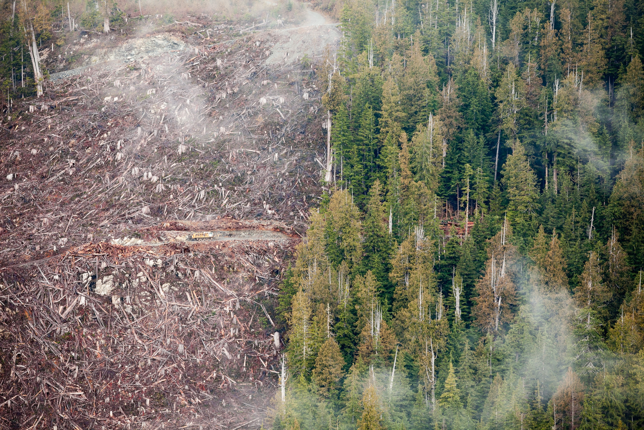Klanawa-Valley-Old-growth logging-Split-View TJ Watt