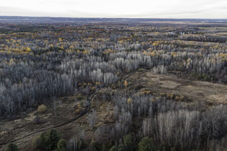 Ontario Greenbelt: the Holland marsh in the Lake , east of Bradford-West Gwilimbury