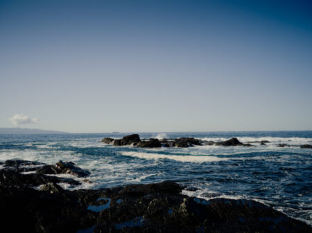 view of ocean by port renfrew