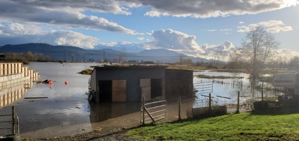 View of Murray Ned's property following B.C. floods