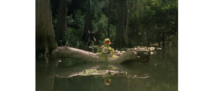 Kermit the frog playing the banjo