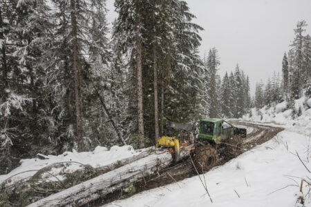 A skidder pulls an ancient cedar tree out of the forest in a wet snowstorm in B.C.'s Columbia Mountains.